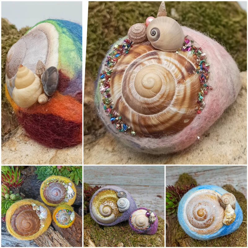 Schneckenhäuser umfilzt