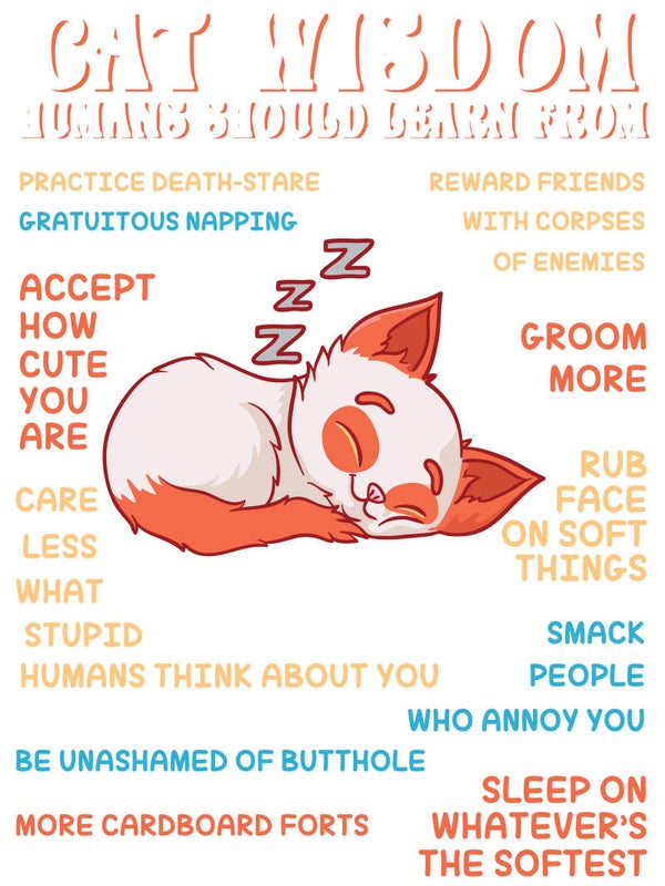 Cat Wisdom