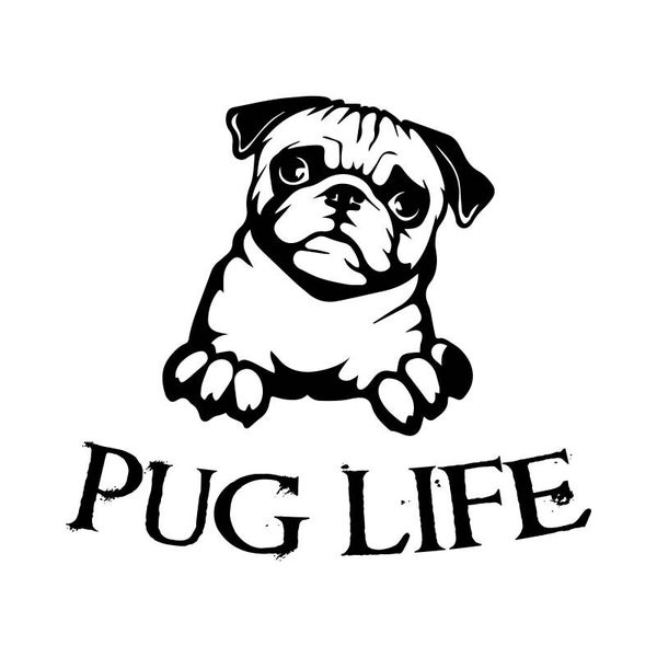 Pug