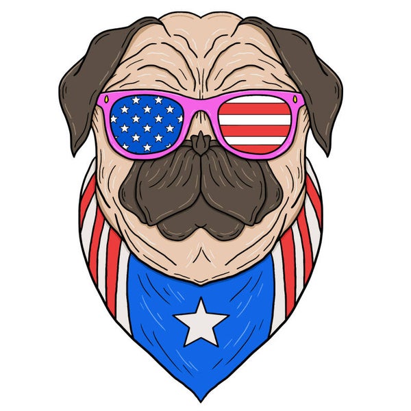 American Dog