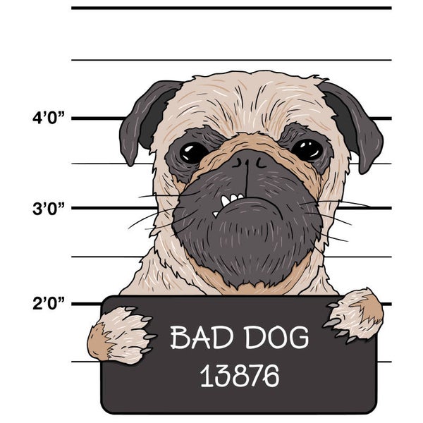 Bad Dog