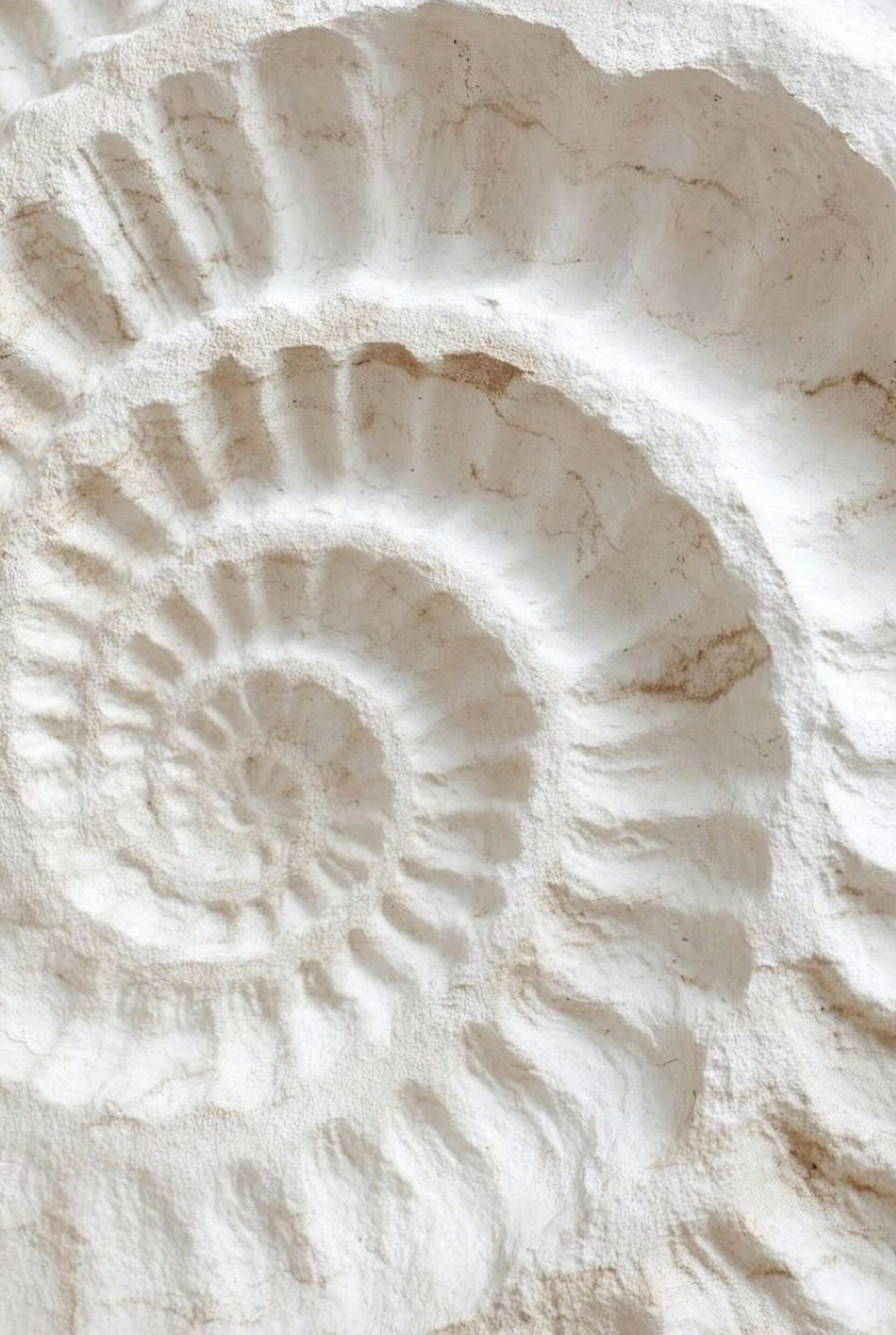 Médiumnité thérapeutique