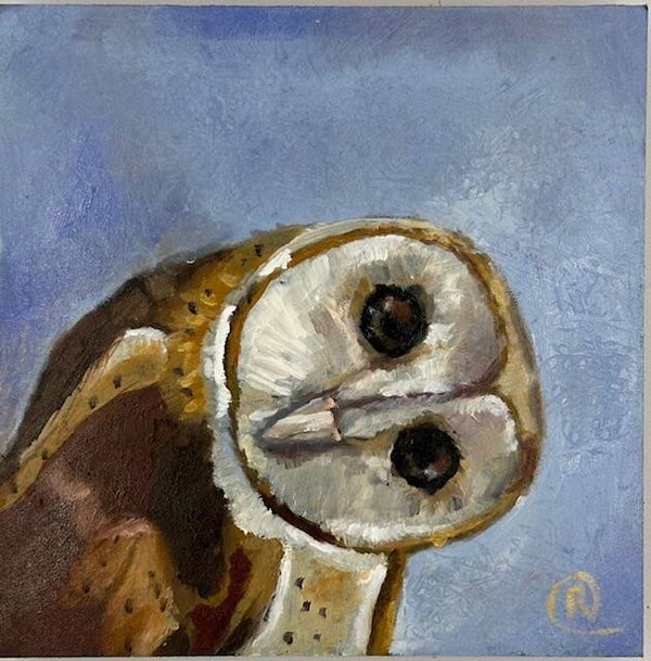Nieuwsgierige Uil