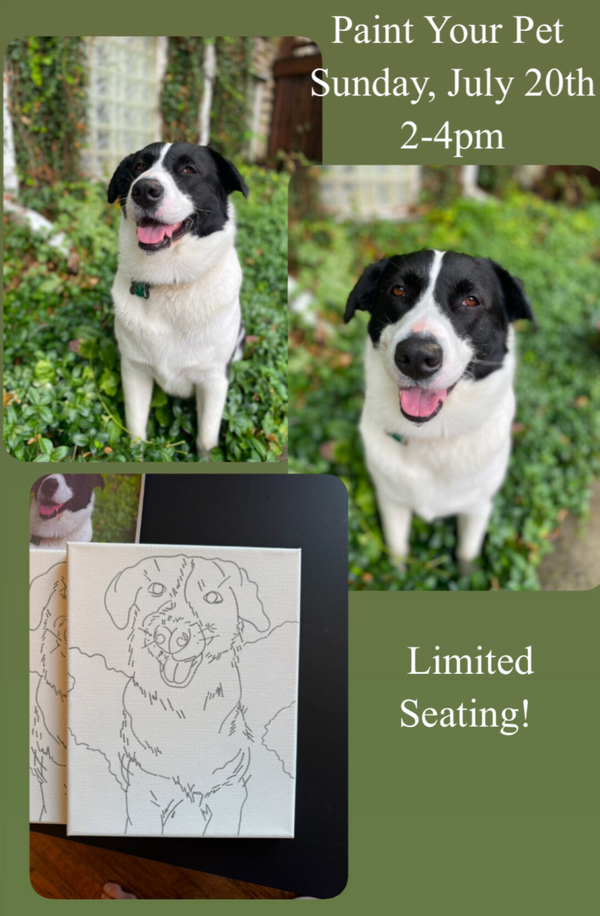 Paint your Pet Workshop