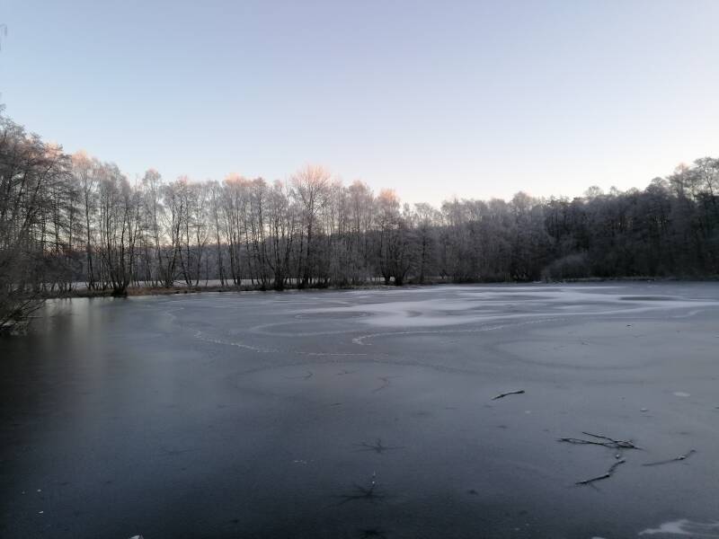 Karpfenteich