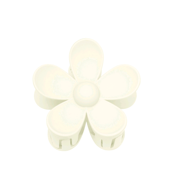 Haarklem bloem Margriet