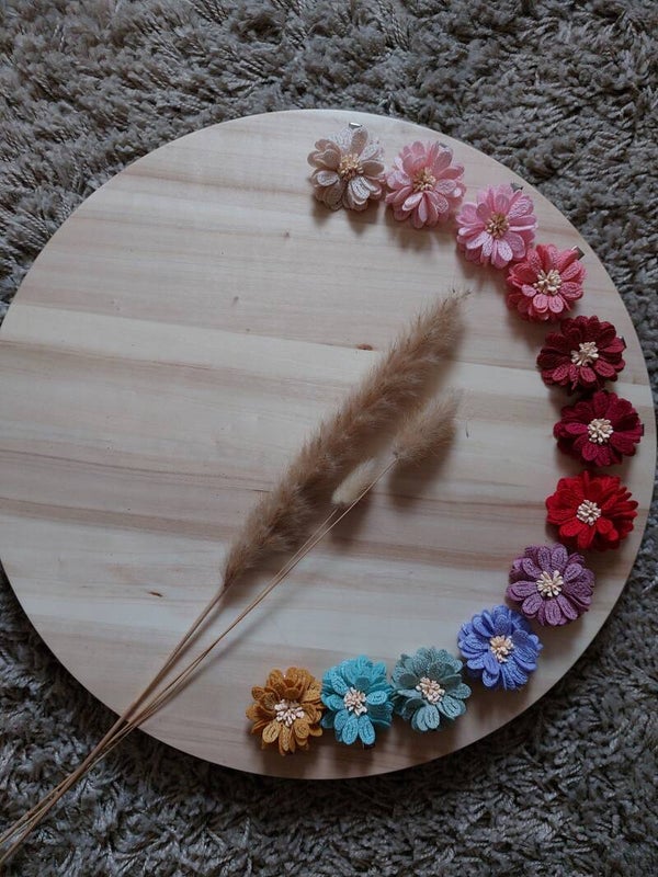 Alligator knipjes Chrysant