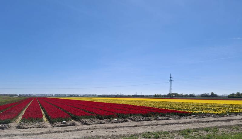 20260423_135700-standard.jpg