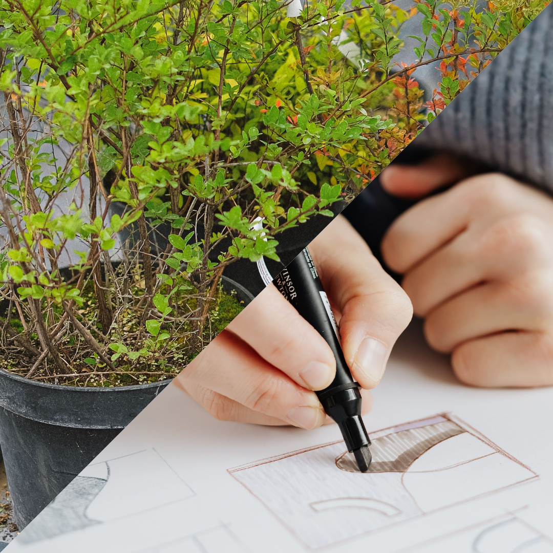 Tuinontwerp en plantenkennis - in de studio