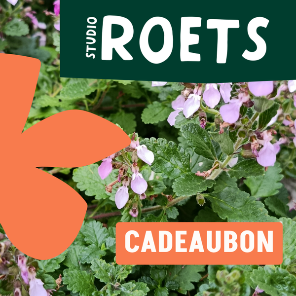 Cadeaubon