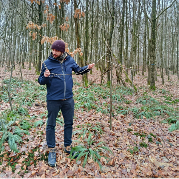 Boomsoorten herkennen - winter