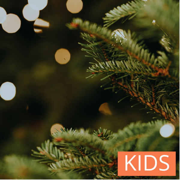 Natuurlijke kerstknutsels