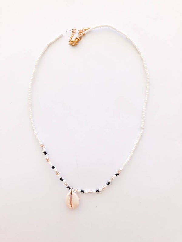 Color shell necklace