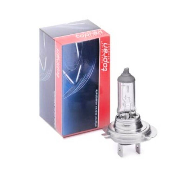 Ampoule H7 12V