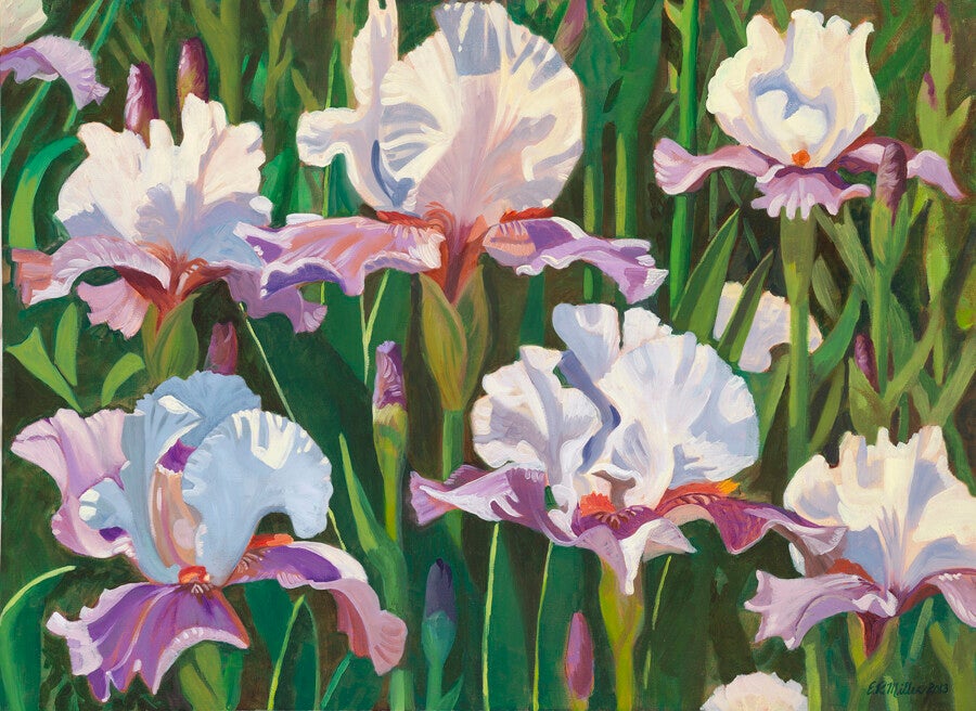 Iris Field 22"x 30" oil on canvas, $850 framed