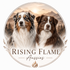 Rising Flame Australian Shepherds