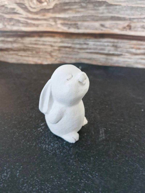 Hase "Guck in die Luft"