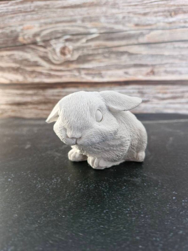 Hase mit Schlappohren