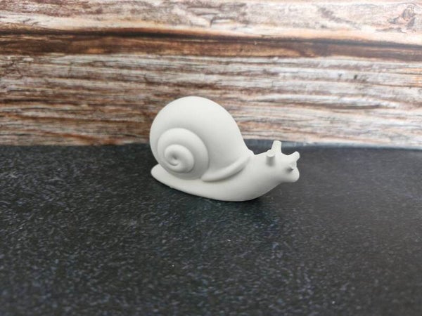 Schnecke