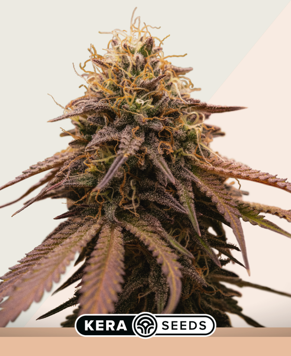 Cherry Grapefruit