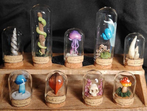 Le Cabinet de Curiosités miniature