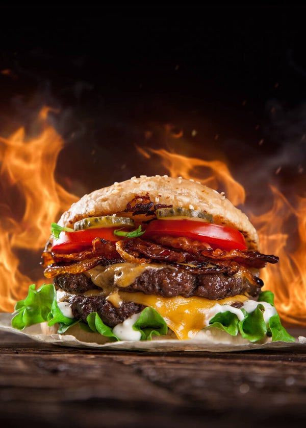 Hamburger Halal  100Gr x 5Kg