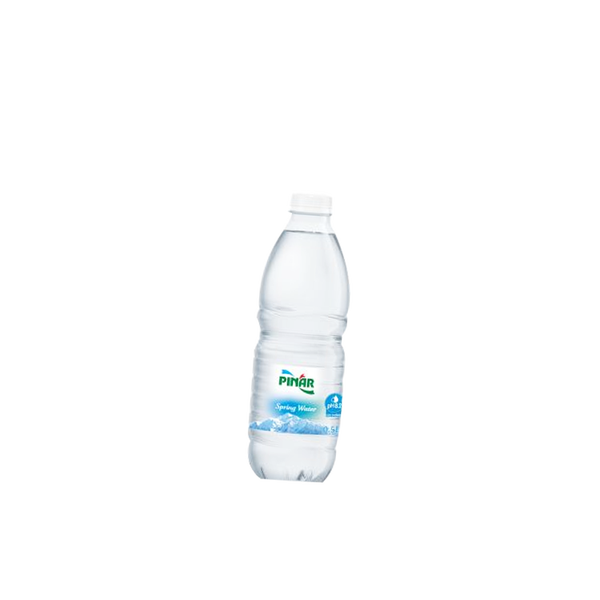 Natuurlijk Bronwater 500ml x 12