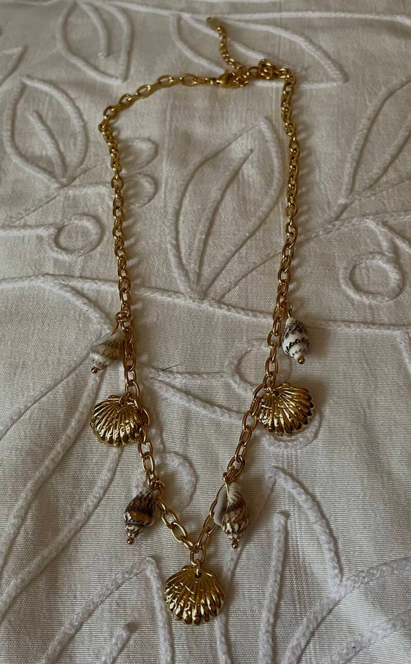 Collier coquillages