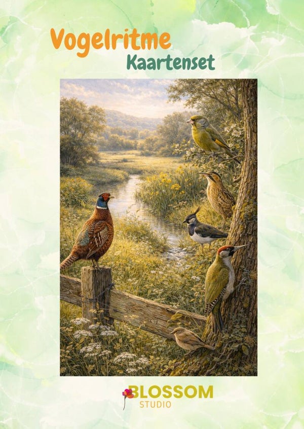 Vogelritme Kaartenset (28 unieke kaarten)