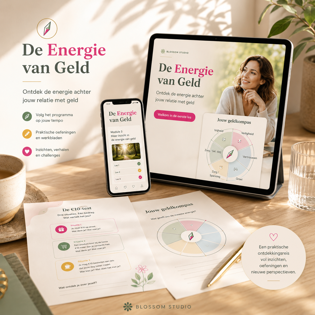 Energie van geld Programma