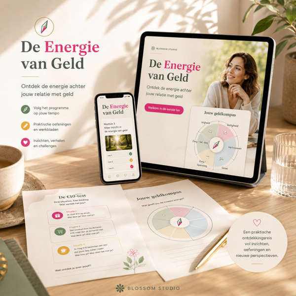 Energie van geld Programma