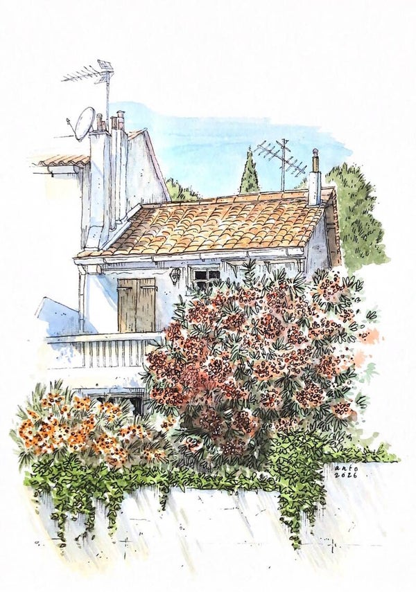 Les fleurs qui nous cachent