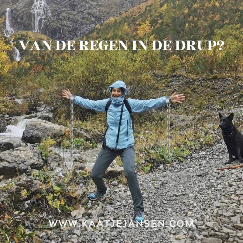 Van de regen in de drup KJ
