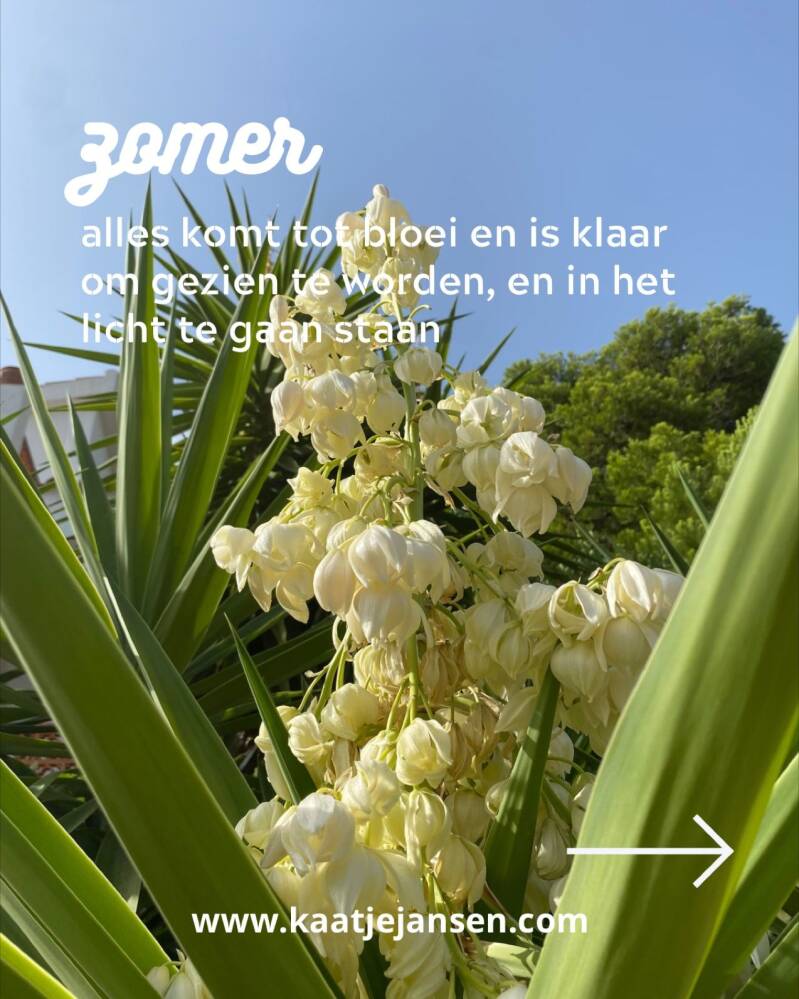 Zomer KJ