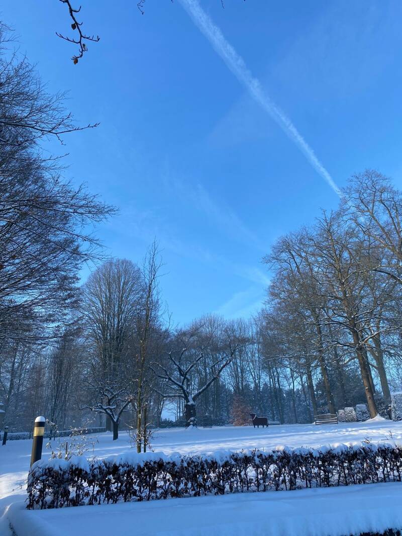 Zon en sneeuw KJ