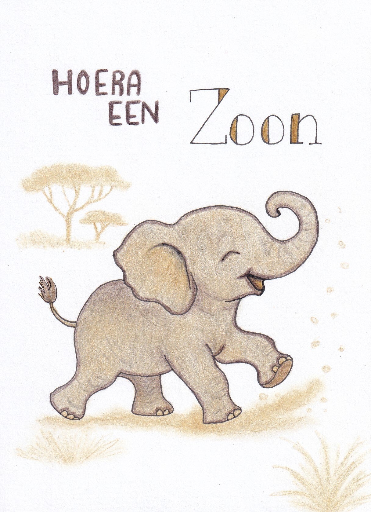 Kaart Fiederelsje- Geboorte jongen olifant