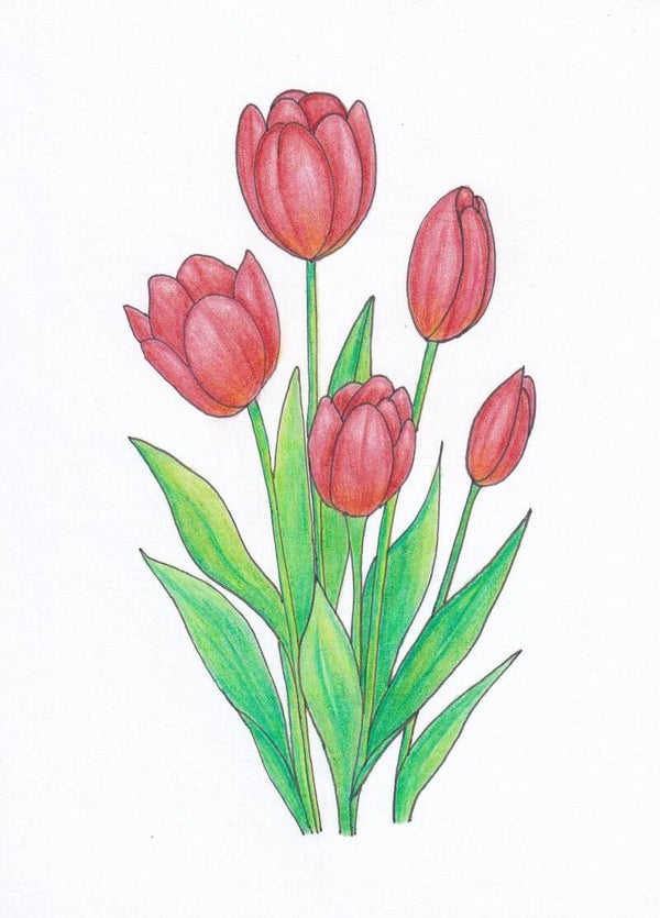 Kaart Fiederelsje - Neutraal tulpen
