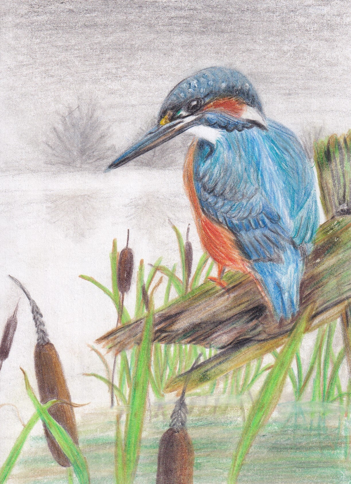 Kaart Fiederelsje - Neutraal ijsvogel
