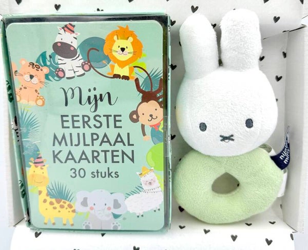 Kraamkadootje Zayn | Nijntje rammelaar groen | Mijlpaalkaartjes | Kaartje naar keuze