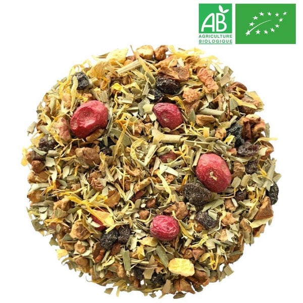 Infusion Glacée Canneberge Pêche Bio