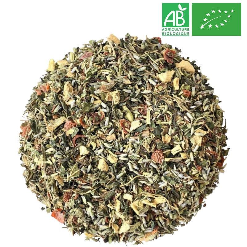 Tisane Détox "Jeunesse Eternelle" Bio