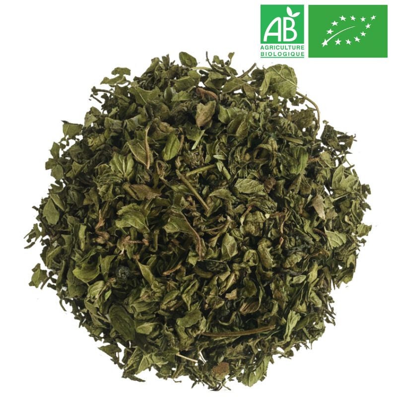 Thé Vert Menthe sélection