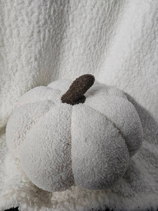 pompoen kussen fluffy