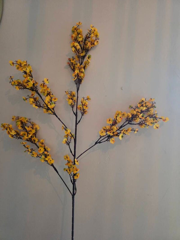 bloessem tak geel