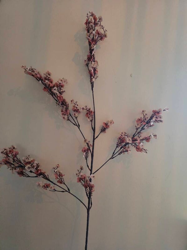 Bloessem tak oud roze