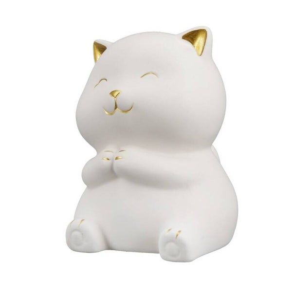 Wit/Goud kat 'kitty'