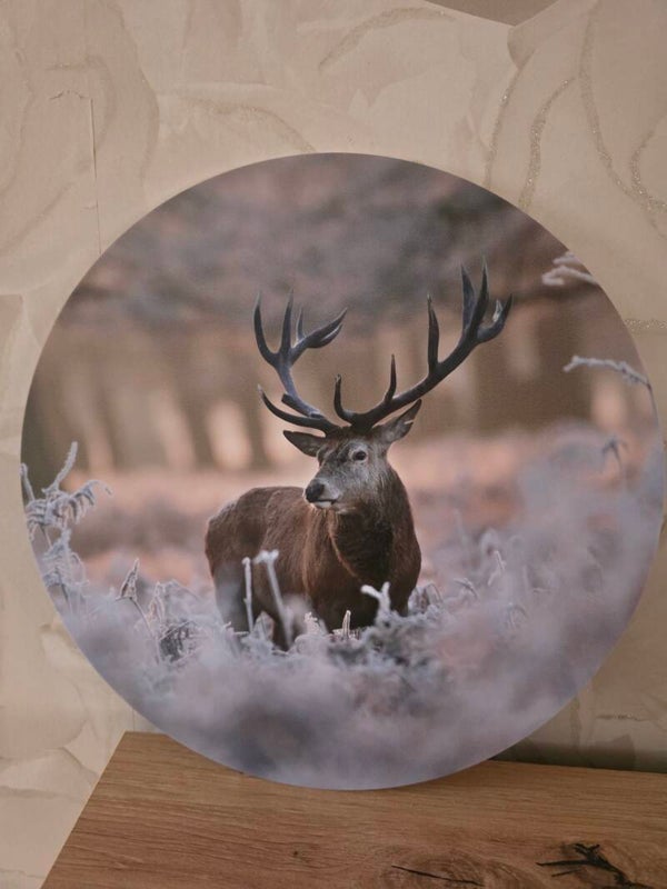 Muurschilderij hert winter