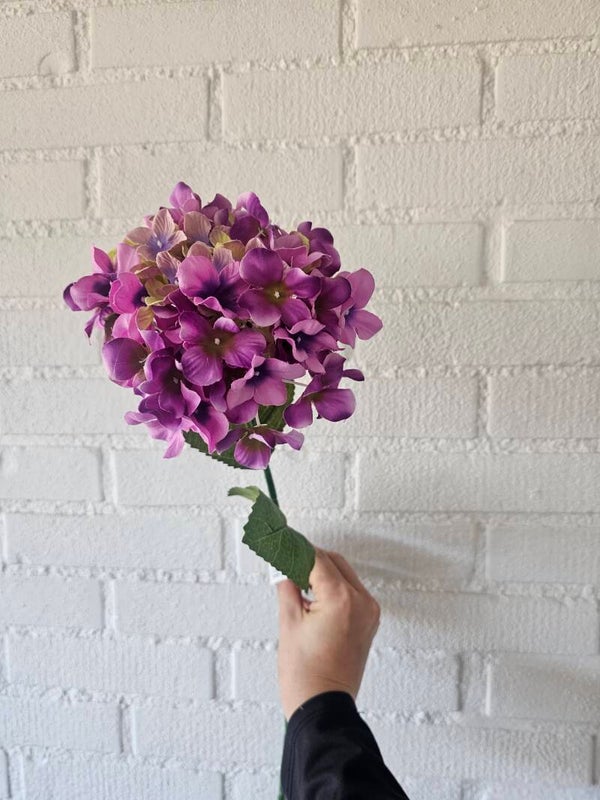 💝Hortensia paars