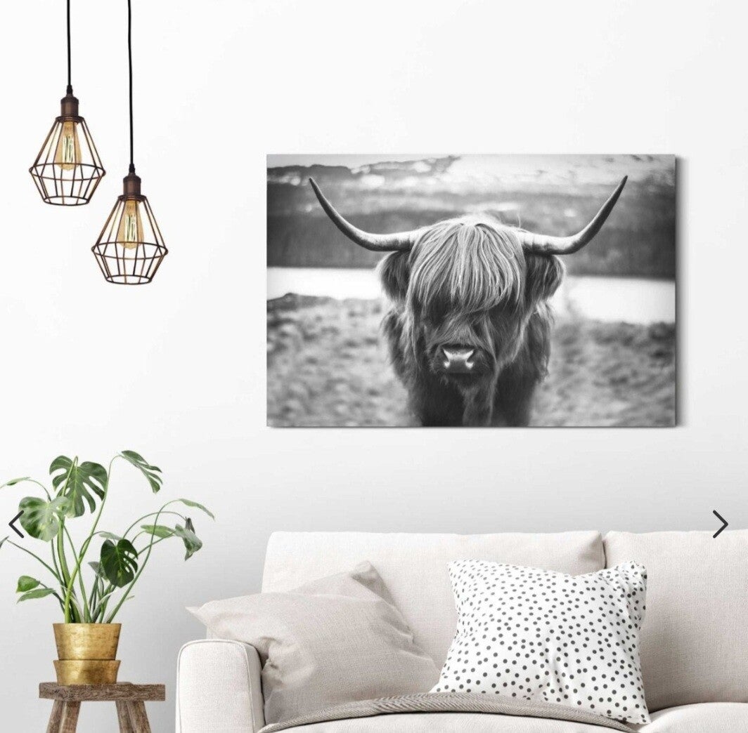 Schilderij Hooglander grijs