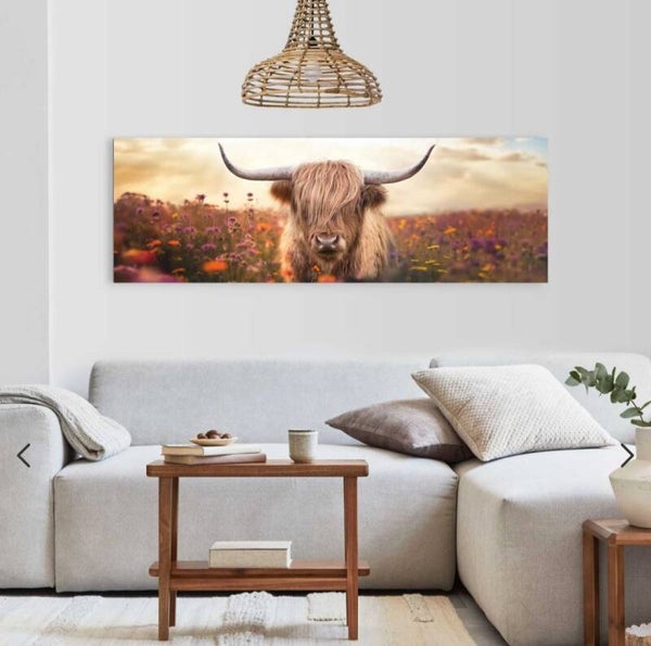 Schilderij Hooglander wei